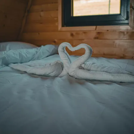 Oaza Mira Hadana Tihovici